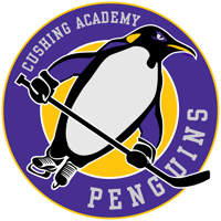 Penguin Circle - full color HOCKEY
